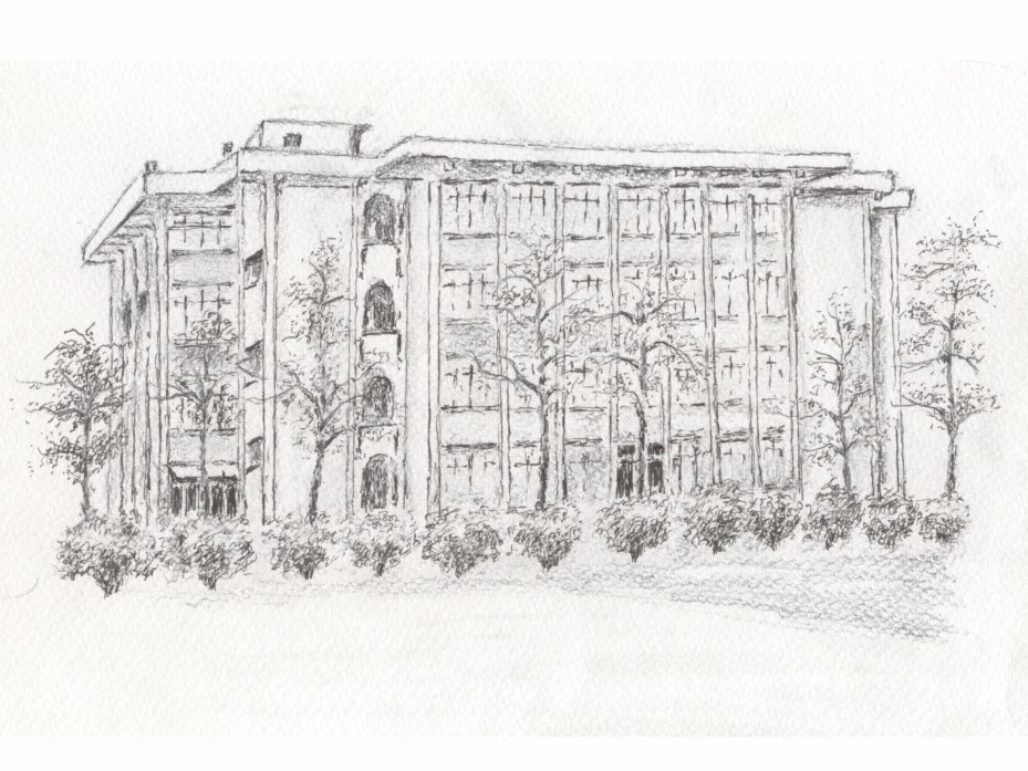 舊圖書館木棉道